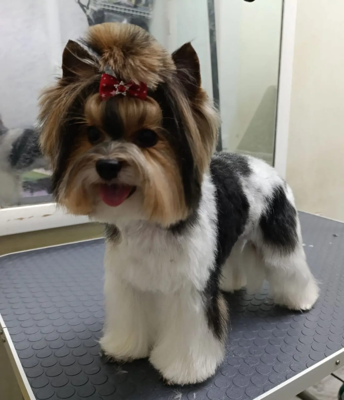 Наши работы